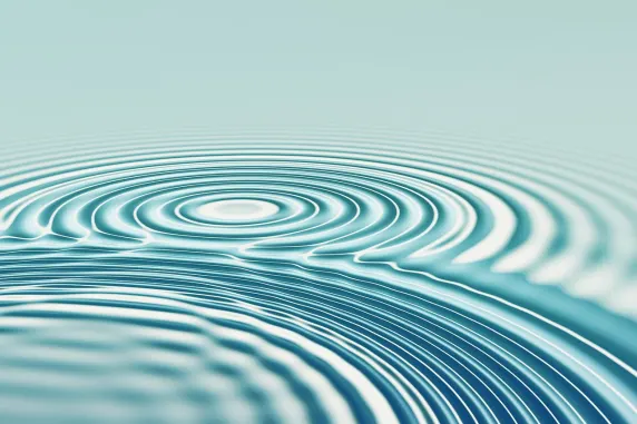 Kaszinó All In Támogatás